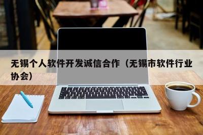 無錫個(gè)人軟件開發(fā)誠(chéng)信合作 軟件外包服務(wù)保障